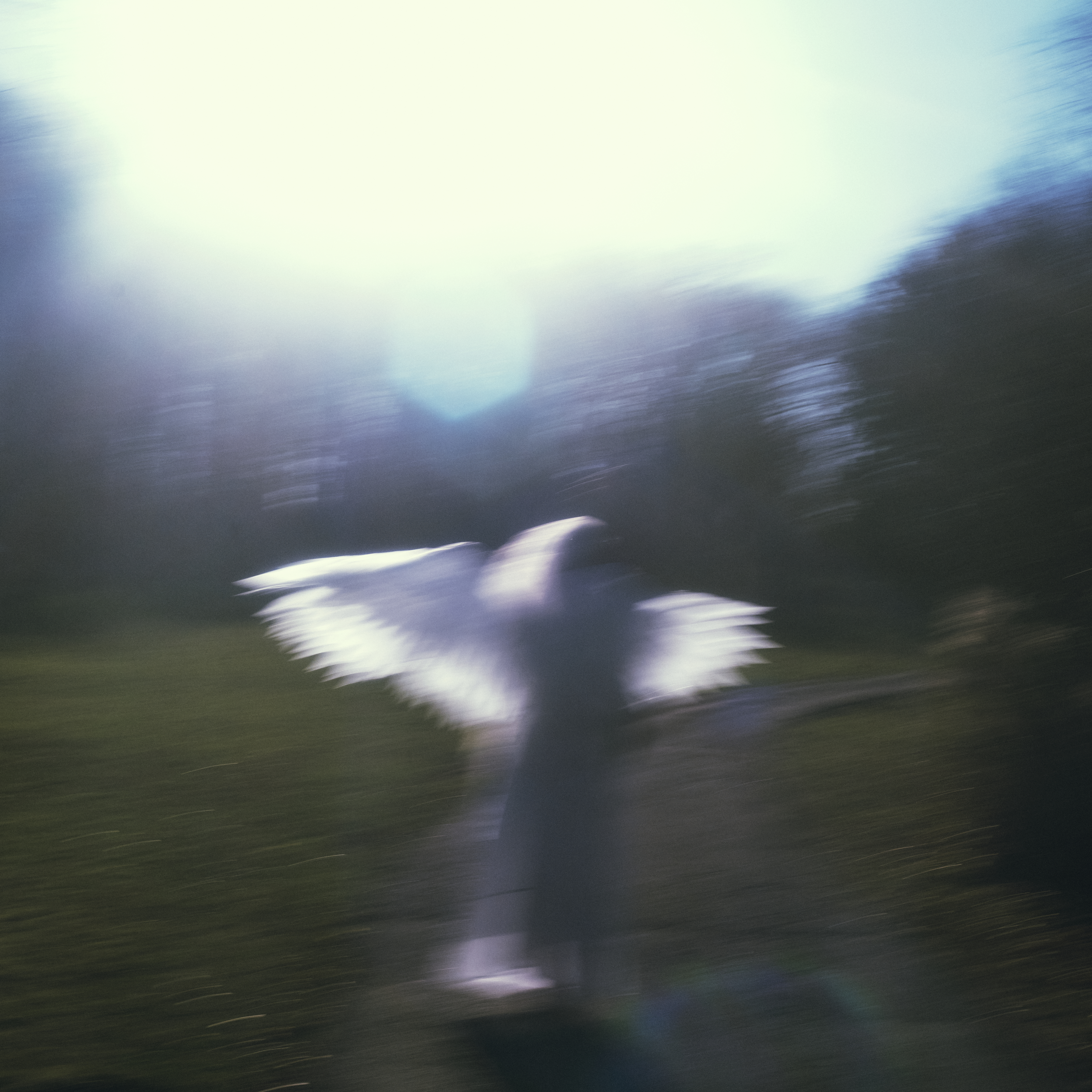 angel